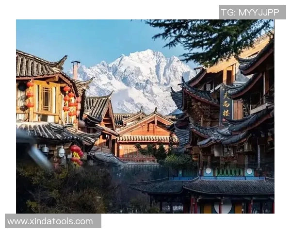 姚明哲阆中探秘:一场穿越历史与文化的精彩之旅 姚明哲阆中探秘:一场穿越历史与文化的精彩之旅